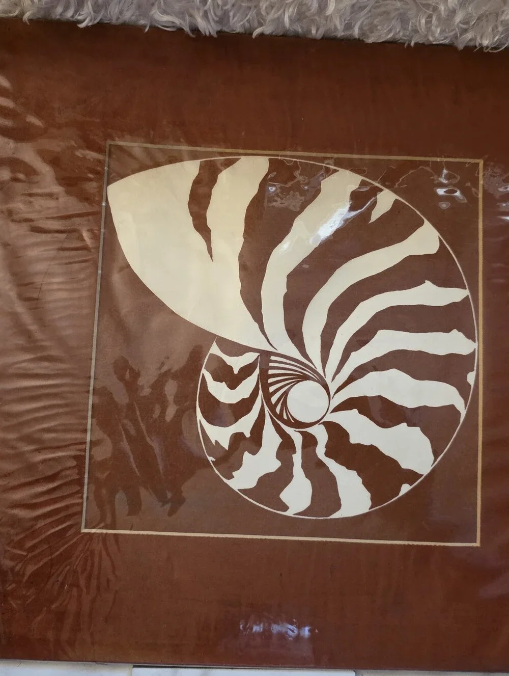 Nautilus Wall Art in Brown and Cream Velvet Signed